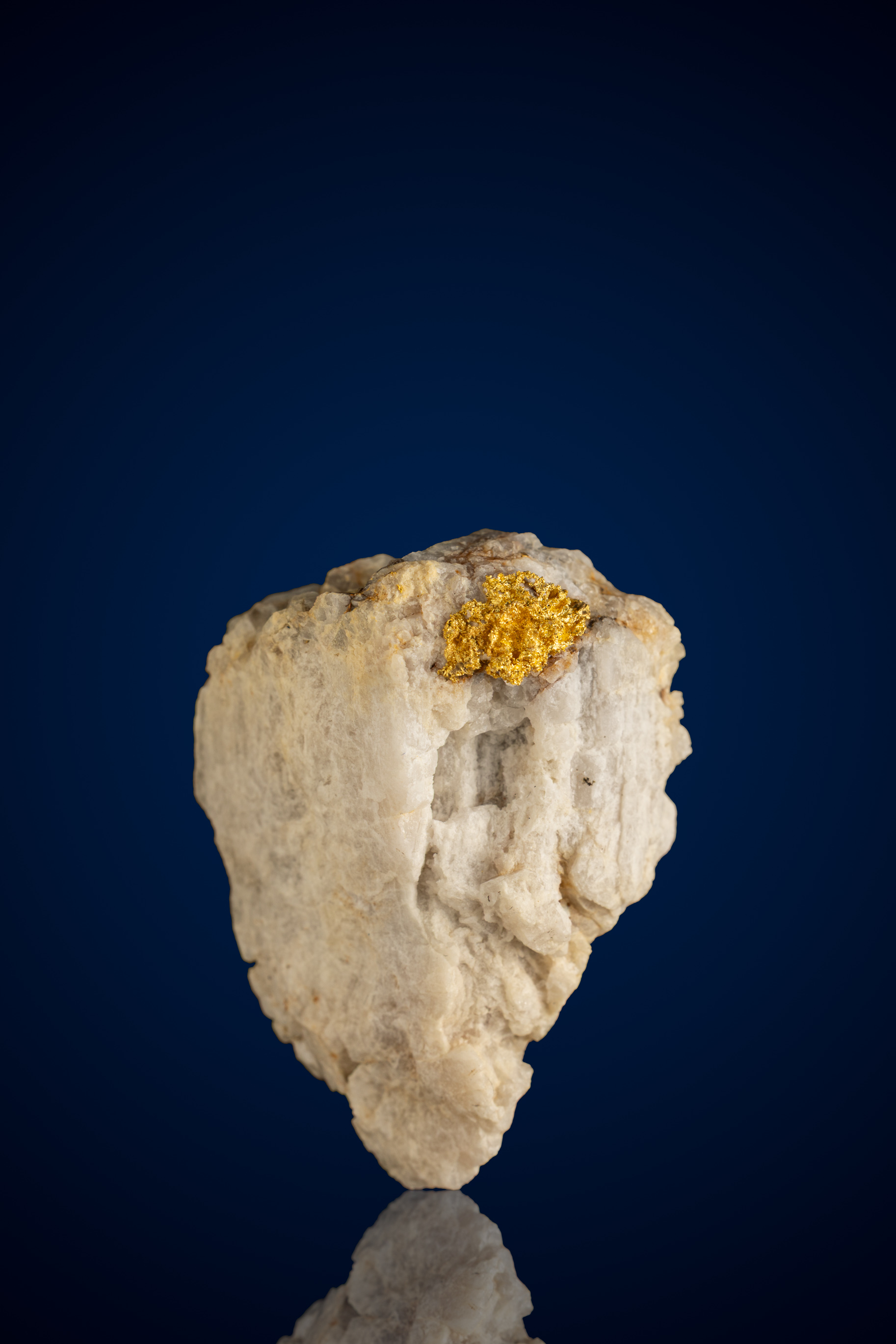 (image for) Brilliant, Tapered Natural Gold Quartz Nugget - Alleghany Mining District, CA - 26.48 grams